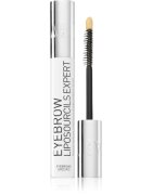 Talika Eyebrow Liposourcils Expert стимулирущ серум за растеж на вежди 10 мл.