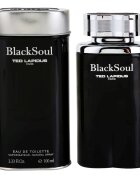 Ted Lapidus Black Soul тоалетна вода за мъже 100 мл.
