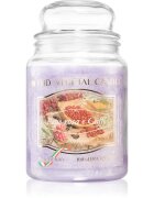 THD Vegetal Pepe Rosa E Caffe ароматна свещ 600 гр.
