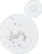 The Ordinary Multi-Peptide Eye Serum озаряващ серум за околоочната зона с пептиди 15 мл.