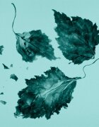 Tiffany & Co. парфюмна вода за жени 30 мл.