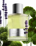 Tom Ford Beau de Jour парфюмна вода за мъже 100 мл.