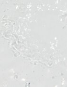 Topicrem UH FACE Gentle Micellar Water нежна почистваща мицеларна вода за чувствителна кожа на лицето и околоочен контур 400 мл.