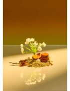 Tree Hut Shea Sugar Scrub Santal Haze захарен скраб за тяло 510 гр.