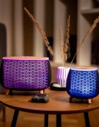 TrueLife AIR Diffuser D4 ултразвуков арома-дифузер и овлажнител за въздух 1 бр.