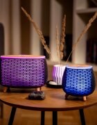 TrueLife AIR Diffuser D6 ултразвуков арома-дифузер и овлажнител за въздух 1 бр.