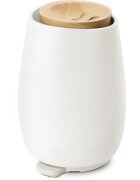 TrueLife AIR Diffuser D8 ултразвуков арома-дифузер и овлажнител за въздух 1 бр.