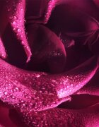 Viktor & Rolf Flowerbomb Extreme парфюмна вода за жени 100 мл.