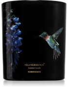 Vila Hermanos Jungletopia Hummingbird ароматна свещ 200 гр.