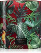 Vila Hermanos Jungletopia Wild Musk ароматна свещ 1450 гр.