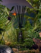 VOLUSPA Japonica Temple Moss aроматизиращ дифузер с пълнител