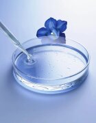 Weleda Exo Boost подмладяващ серум за лице 30 мл.
