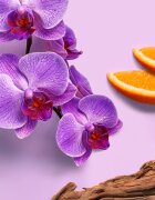 Weleda Mystic Aura Парфюмирана мъгла за тяло и коса за жени 95 мл.