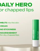 Weleda Skin Food Make-up Favourites подаръчен комплект за перфектна кожа