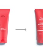 Wella Professionals Invigo Color Brilliance комплект за боядисана коса