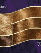Wella ton Intense перманентната боя за коса с арганово масло цвят 7/3 Hazelnut 1 бр.