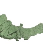 Wet N Wild Color Icon сенки за очи цвят Envy 1.7 гр.