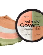 Wet N Wild Cover All палитра коректори 6.5 гр.