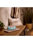 Woodwick Cedarwood & Ocean Moss ароматна свещ с дървен фитил 453.6 гр.