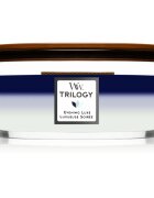 Woodwick Trilogy Evening Luxe ароматна свещ с дървен фитил (hearthwick) 453.6 гр.
