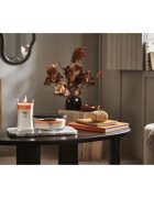 Woodwick Trilogy Hearth Spice ароматна свещ с дървен фитил 453.6 гр.