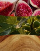 Woodwick Verdant Fig ароматна свещ с дървен фитил 453.6 гр.
