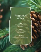 Yankee Candle Balsam & Cedar Fireside ароматна свещ Signature 110 гр.