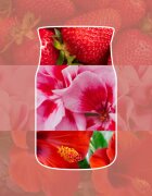 Yankee Candle Cliffside Sunrise ароматна свещ 368 гр.