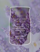 Yankee Candle Lavender Vanilla ароматна свещ 268 гр.