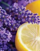 Yankee Candle Lemon Lavender ароматна свещ Signature 110 гр.