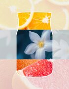 Yankee Candle Midnight Jasmine ароматна свещ Signature 110 гр.