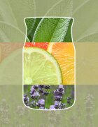 Yankee Candle Sage & Citrus ароматна свещ Signature 110 гр.