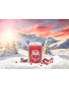 Yankee Candle Santa On Skis ароматна свещ 567 гр.