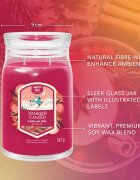 Yankee Candle Santa On Skis ароматна свещ 567 гр.