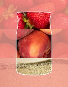 Yankee Candle White Strawberry Bellini ароматна свещ 567 гр.