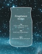 Yankee Candle Winter Night Stars ароматна свещ 567 гр.