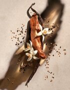 ZADIG&VOLTAIRE ZADIG парфюмна вода пълнител за жени 150 мл.
