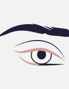 ZOEVA 317 Wing Liner скосена четчица за очна линия 1 бр.