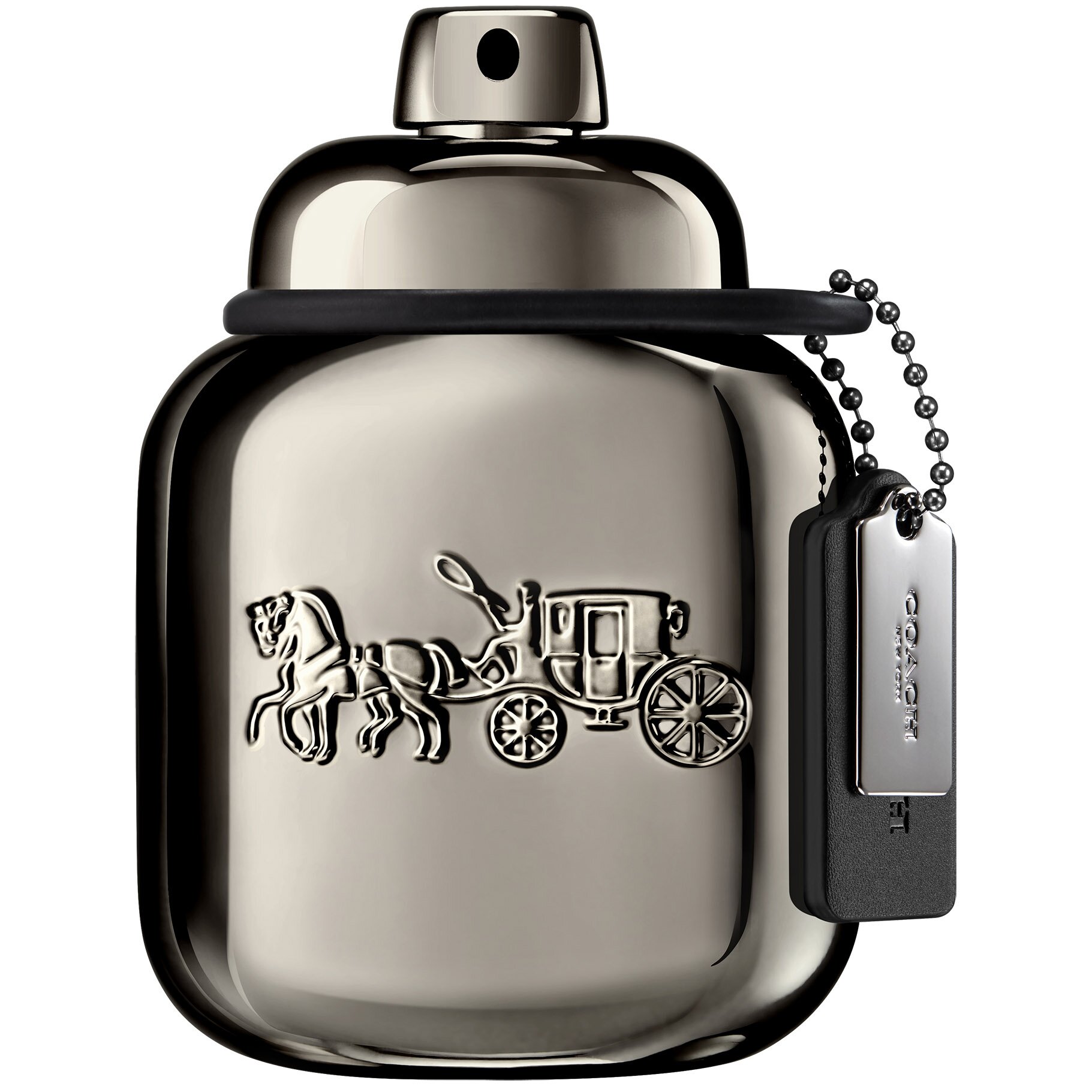 Coach Pure Platinum