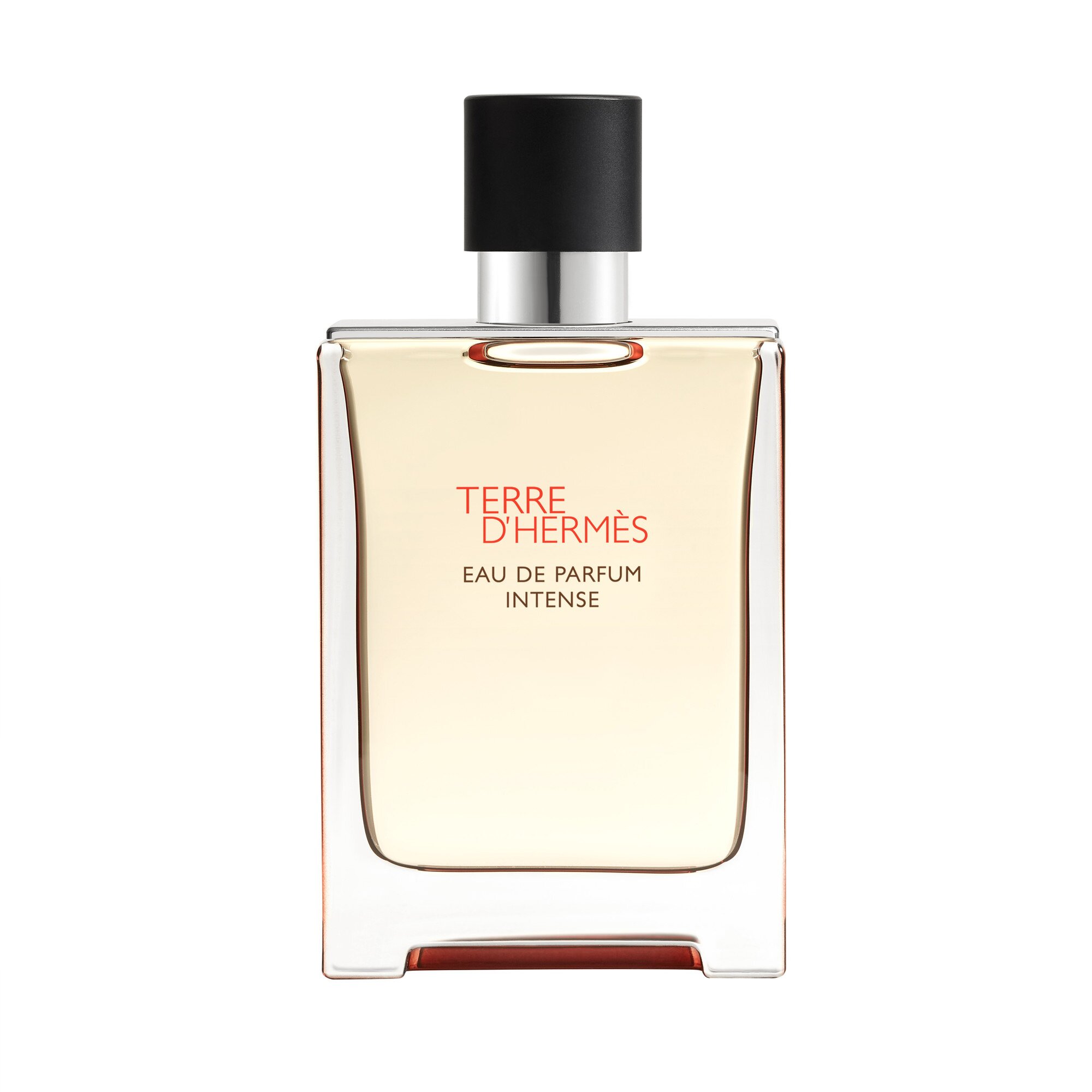 Hermes Terre d' Eau de Parfum Intense