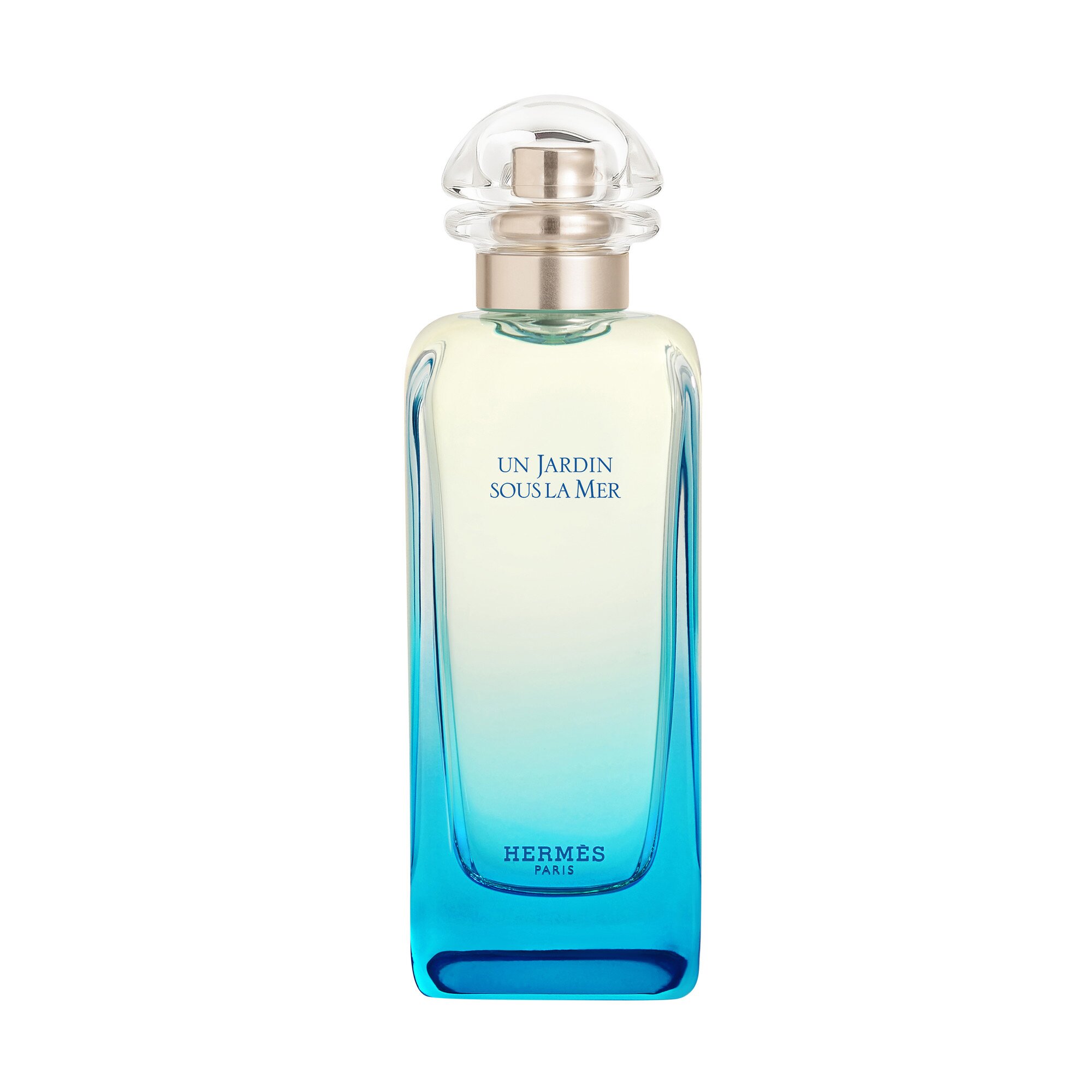 Hermes HERMÈS Un Jardin Sous La Mer
