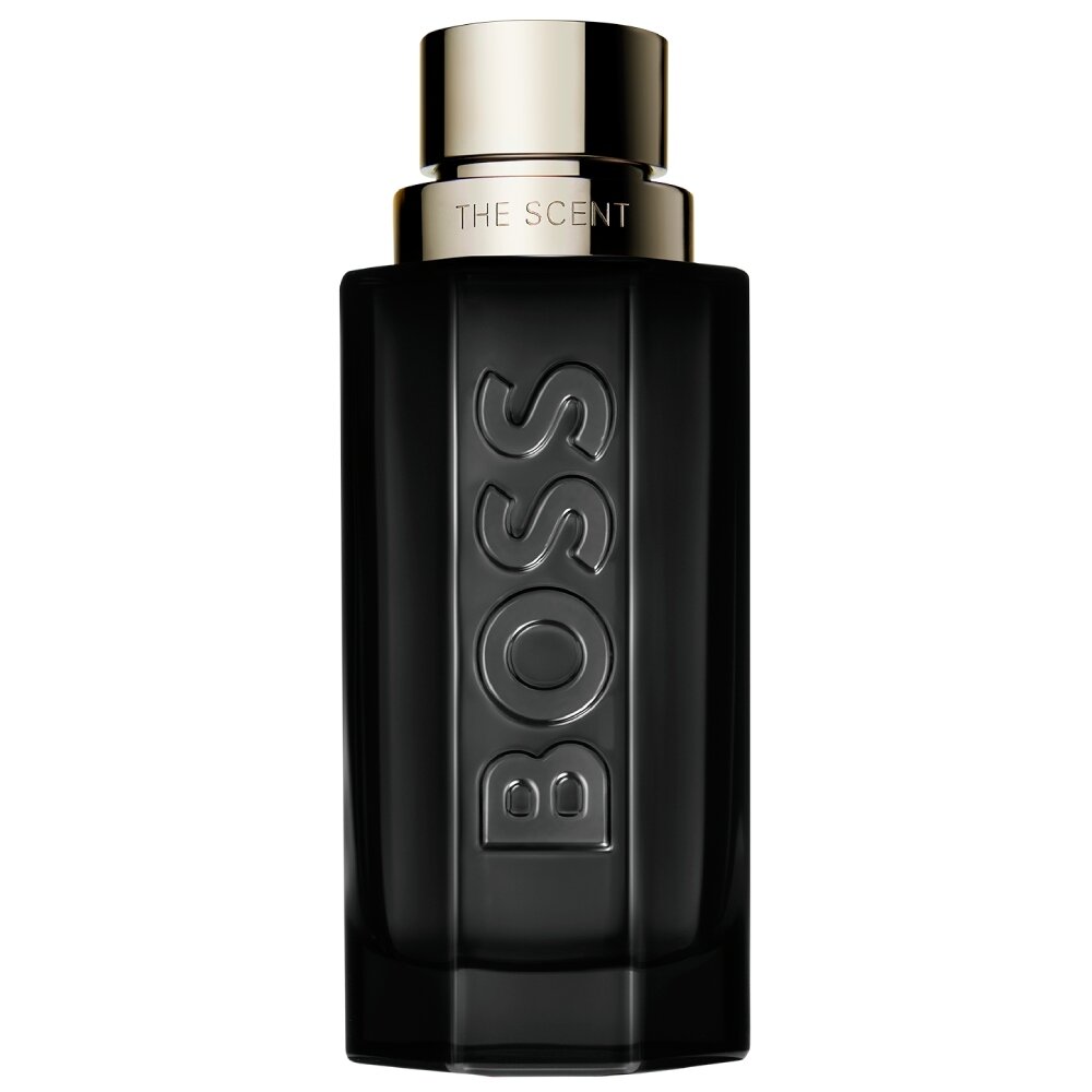 Hugo Boss BOSS The Scent Magnetic Eau de Parfum for Him