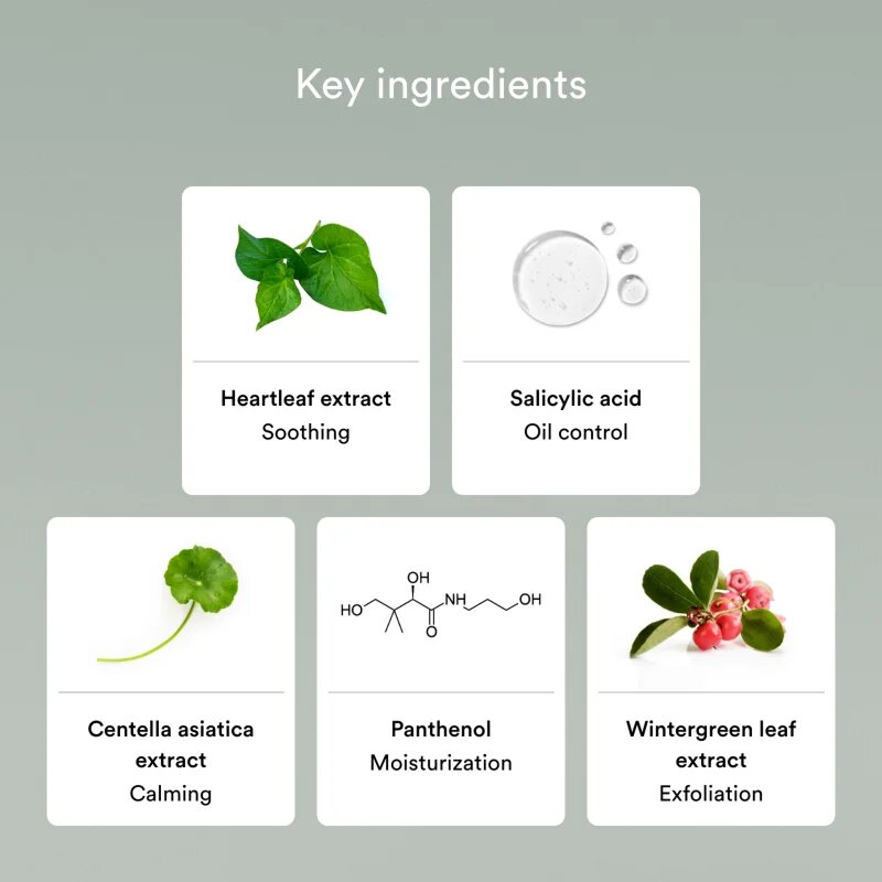 Abib Heartleaf Mild Foam Cleanser Успокояваща почистваща пяна за проблемна кожа акне 150 мл.