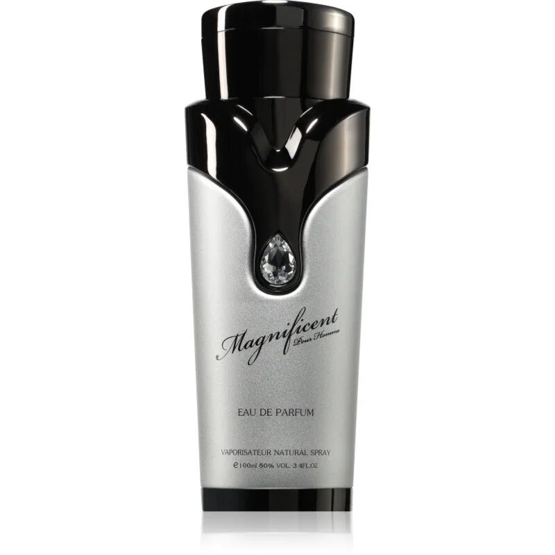 Armaf Magnificent Pour Homme парфюмна вода за мъже 100 мл.