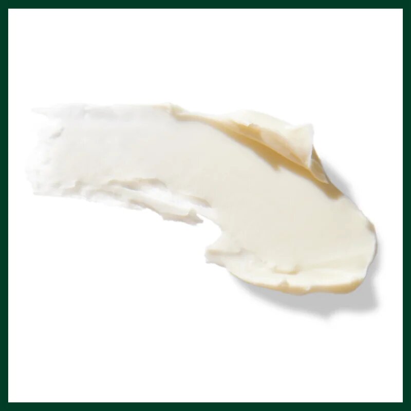 Aveda Men Pure - Formance™ Grooming Clay Моделираща глина за фиксиране и оформяне 75 мл.