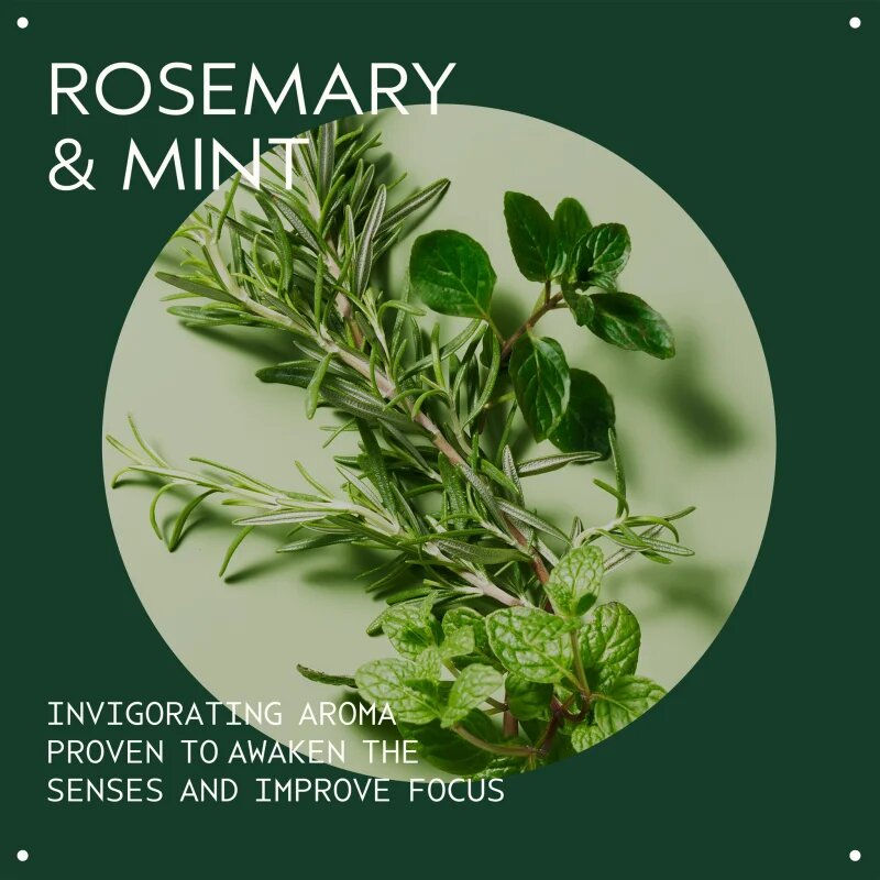 Aveda Rosemary Mint Purifying Shampoo дълбоко почистващ шампоан за блясък 1000 мл.