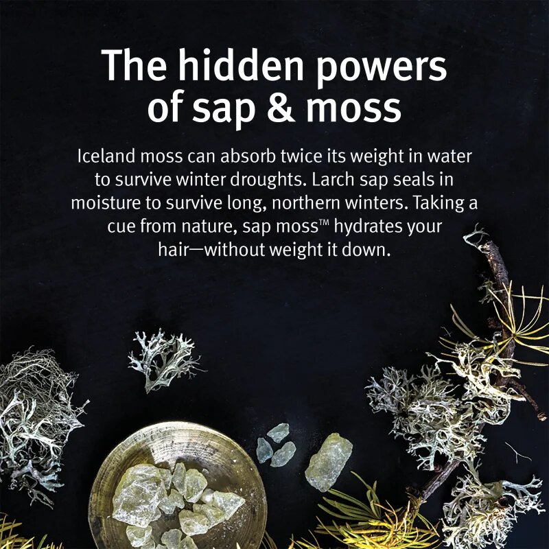 Aveda Sap Moss™ Weightless Hydrating Shampoo лек хидратиращ шампоан против цъфтене 200 мл.