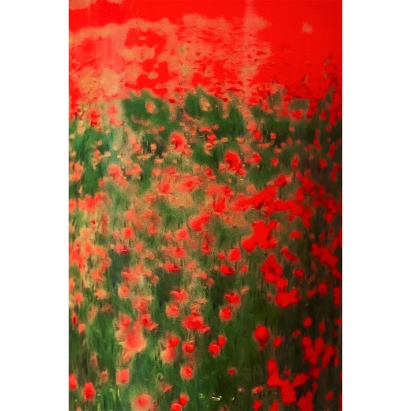 Baobab Collection Arty Flowers Poppies ароматна свещ 500 гр.