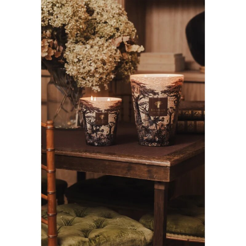 Baobab Collection Sacred Trees Mankono ароматна свещ 1100 гр.