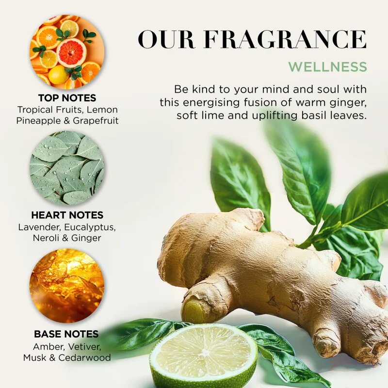 Baylis & Harding Wellness. Energise подаръчен комплект Ginger Lime & Basil Leaf